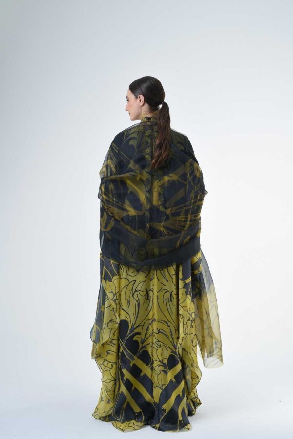 OLIVIA 1 (22) OLIVIA 1 (22)