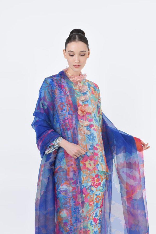 RR20 BLAINE (12) RR20 BLAINE (12)