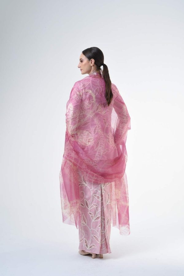 STELLA RRB202 (11) STELLA RRB202 (11)