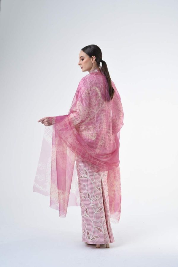 STELLA RRB202 (18) STELLA RRB202 (18)