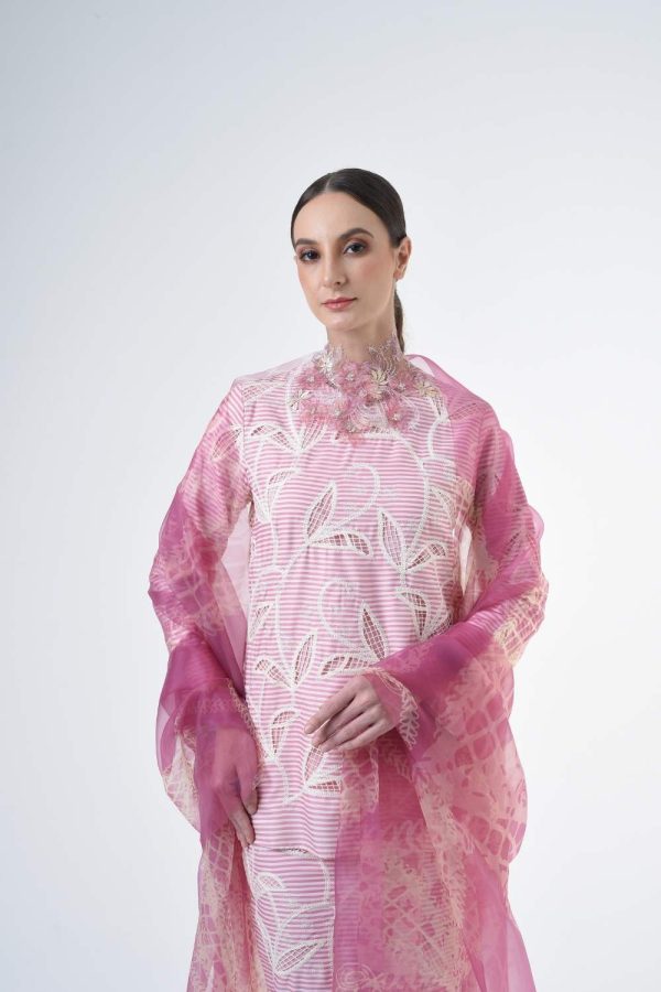 STELLA RRB202 (19) STELLA RRB202 (19)