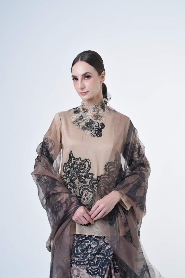 lisa brown (12) lisa brown (12)