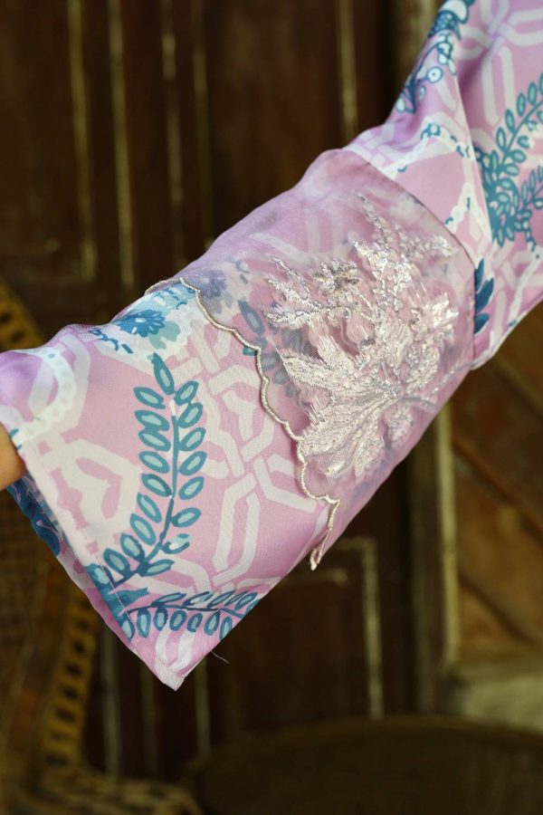 gracie (6) gracie (6)