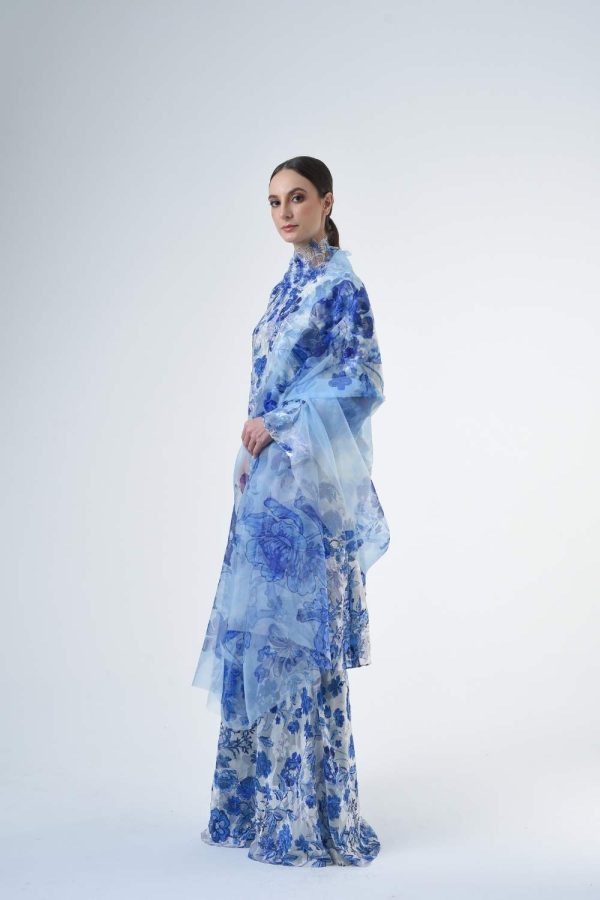 BRISSA RR2608 (10) BRISSA RR2608 (10)