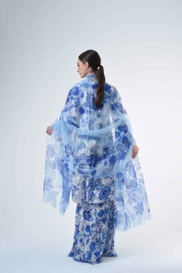 BRISSA RR2608 (4) BRISSA RR2608 (4)