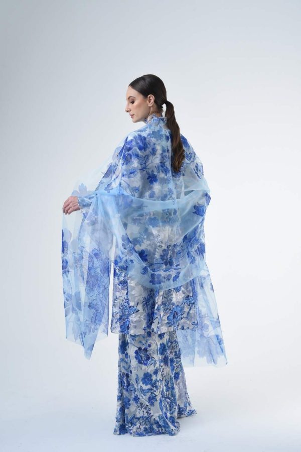 BRISSA RR2608 (5) BRISSA RR2608 (5)