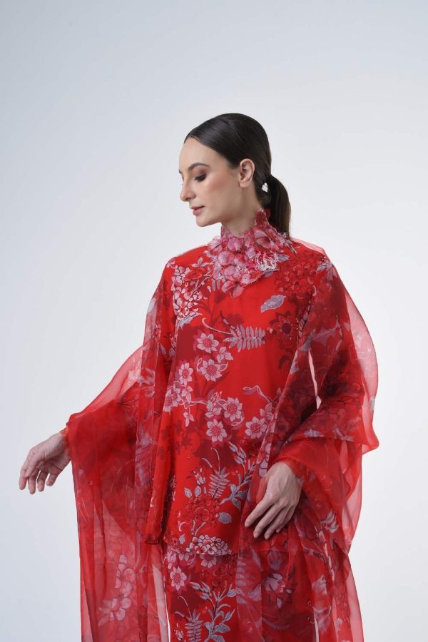 CASSANDRA RR2611 (11) CASSANDRA RR2611 (11)