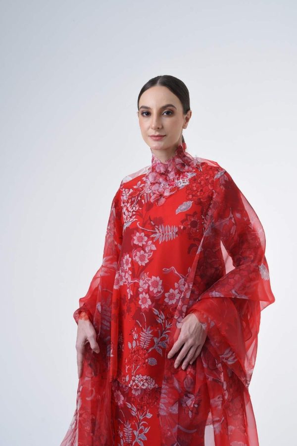 CASSANDRA RR2611 (12) CASSANDRA RR2611 (12)