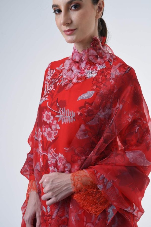 CASSANDRA RR2611 (20) CASSANDRA RR2611 (20)