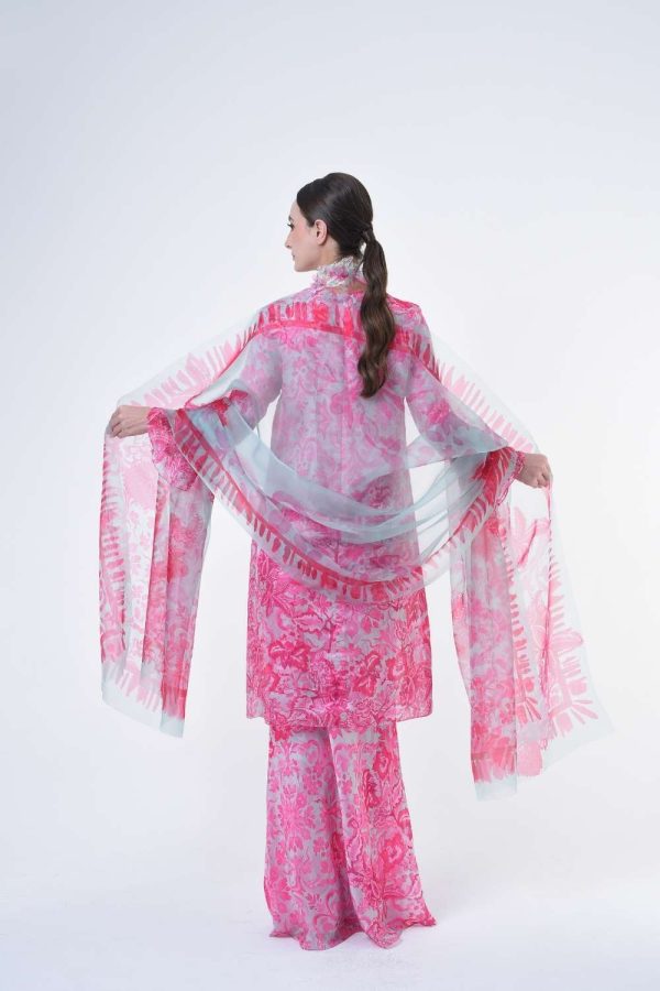 DAHLIA RR2617 (5) DAHLIA RR2617 (5)