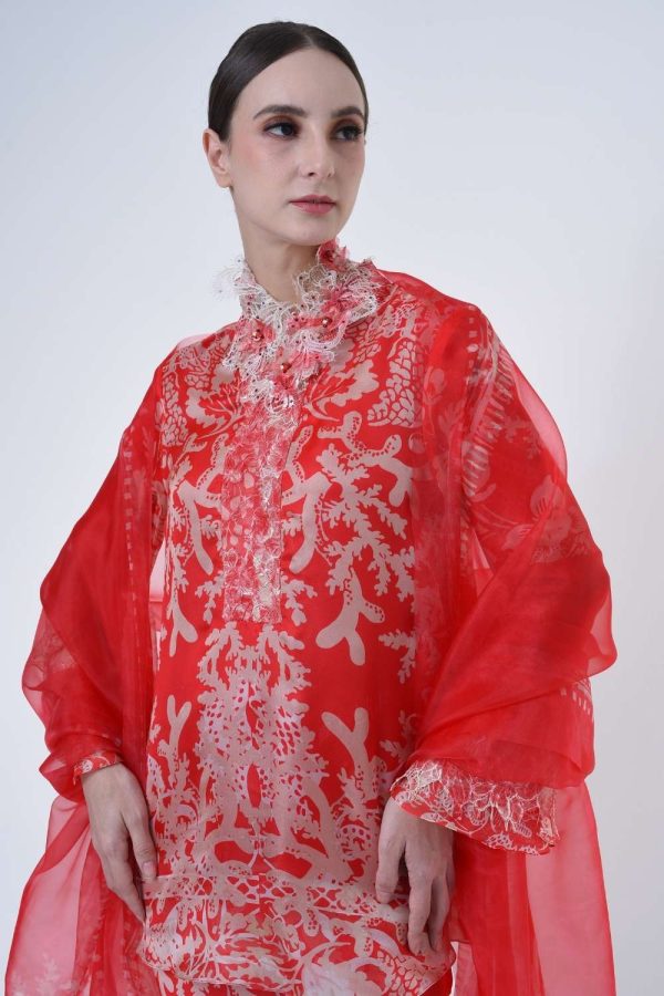 DELIORA RR2618 (3) DELIORA RR2618 (3)