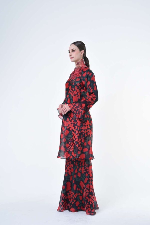 DENISE RR2619 (1) DENISE RR2619 (1)