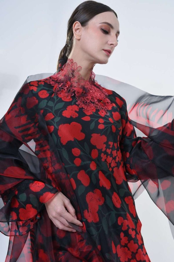 DENISE RR2619 (11) DENISE RR2619 (11)