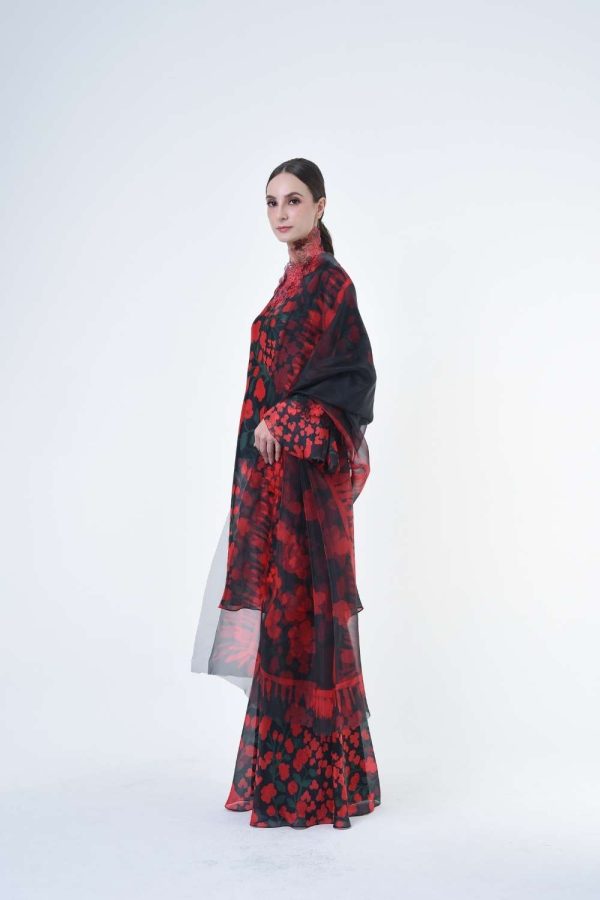 DENISE RR2619 (13) DENISE RR2619 (13)