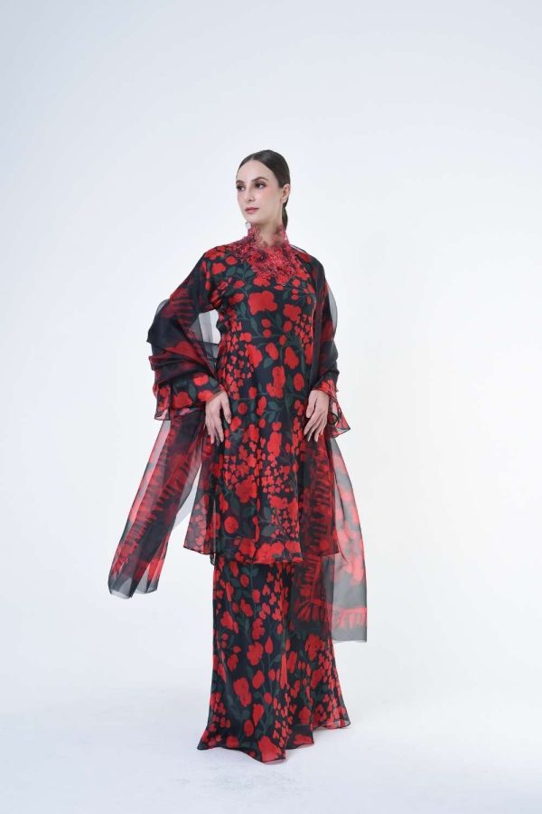 DENISE RR2619 (17) DENISE RR2619 (17)