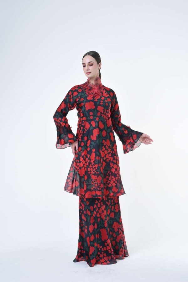 DENISE RR2619 (2) DENISE RR2619 (2)