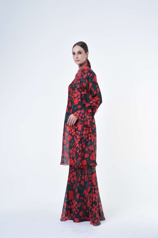 DENISE RR2619 (3) DENISE RR2619 (3)