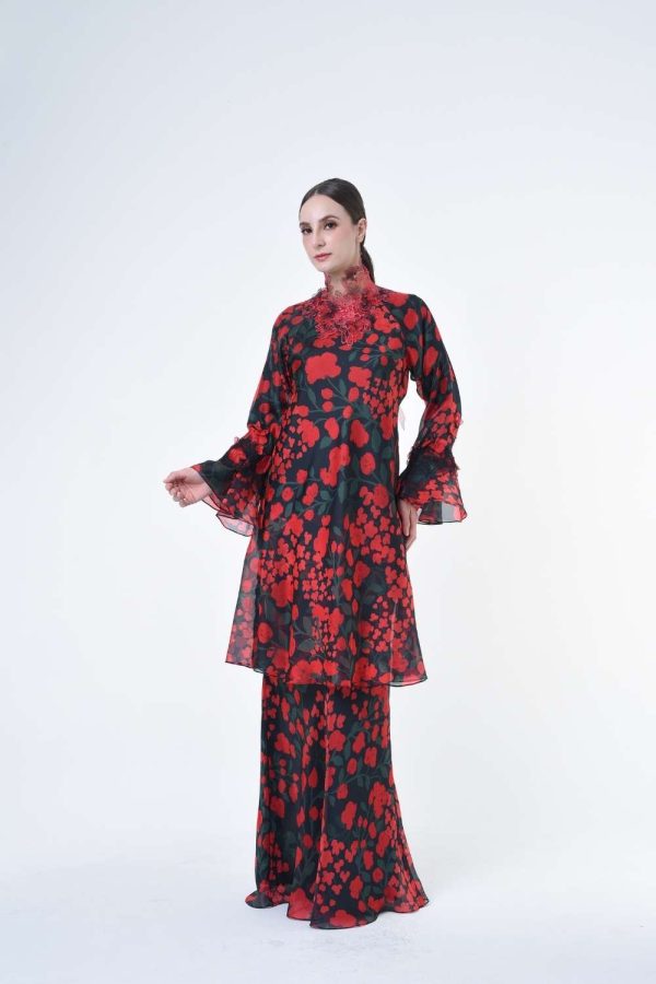 DENISE RR2619 (4) DENISE RR2619 (4)