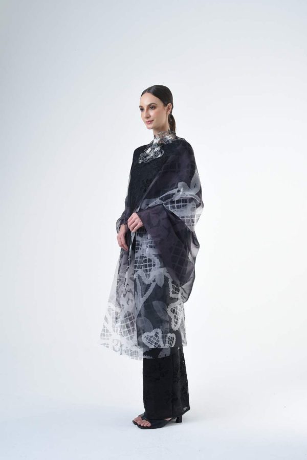 SELENE RRB201 (12) SELENE RRB201 (12)